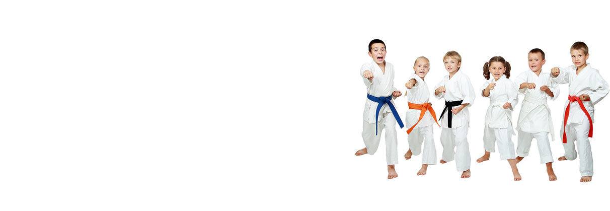 Upisi u Karate školu